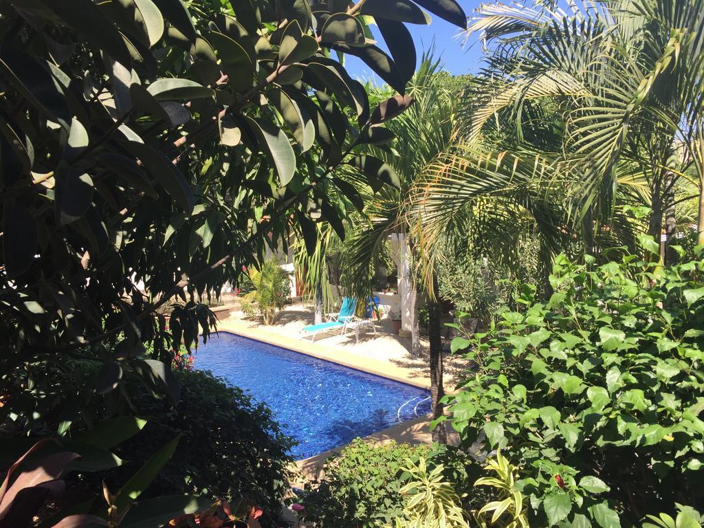 Hotel Flores (Adults Only) Tamarindo Extérieur photo