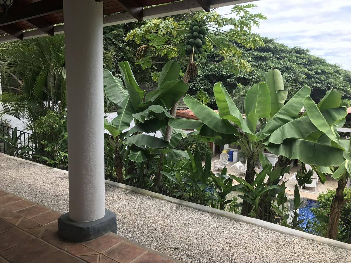 Hotel Flores (Adults Only) Tamarindo Extérieur photo
